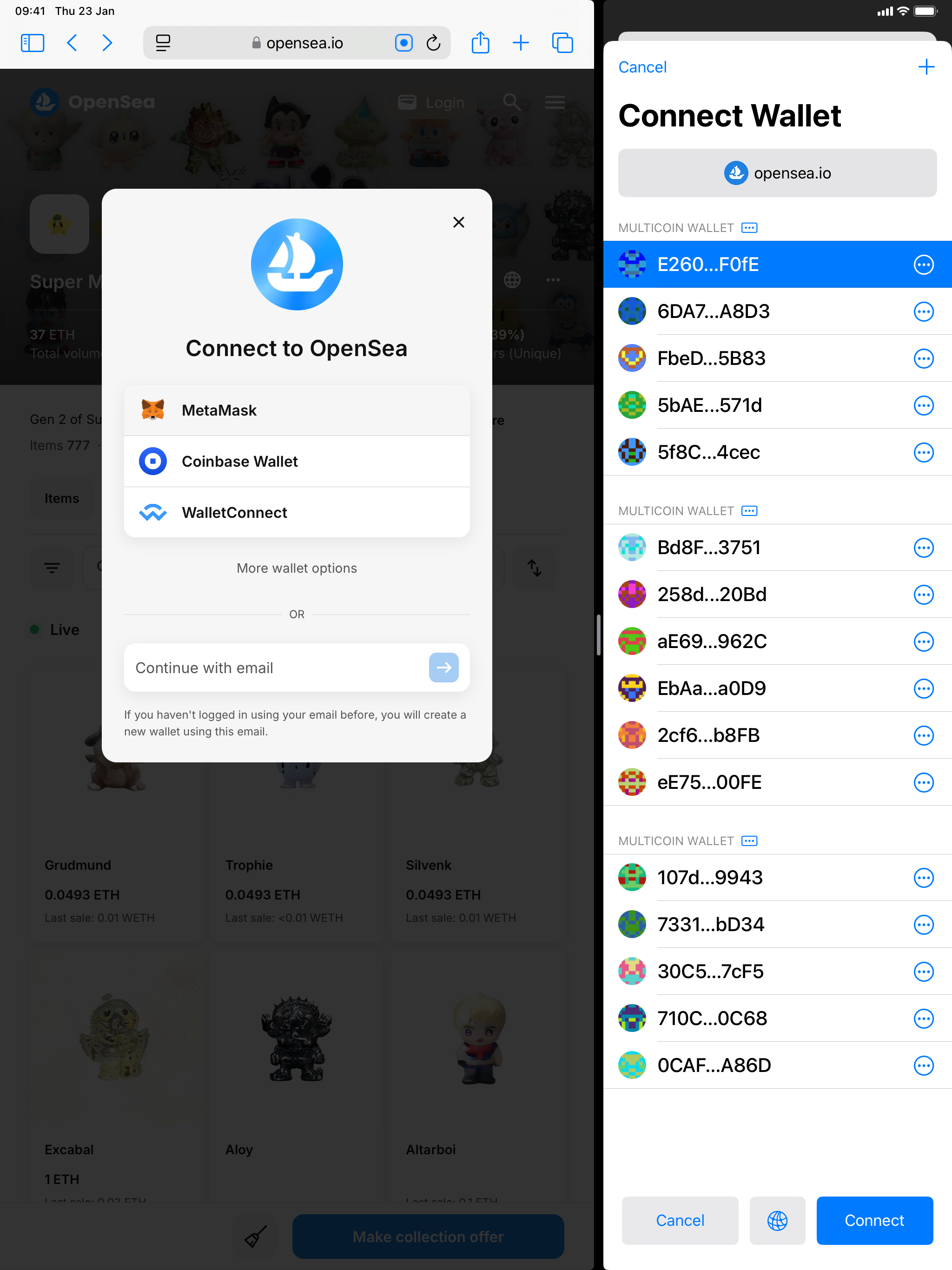 Big Wallet for Safari screenshot 4