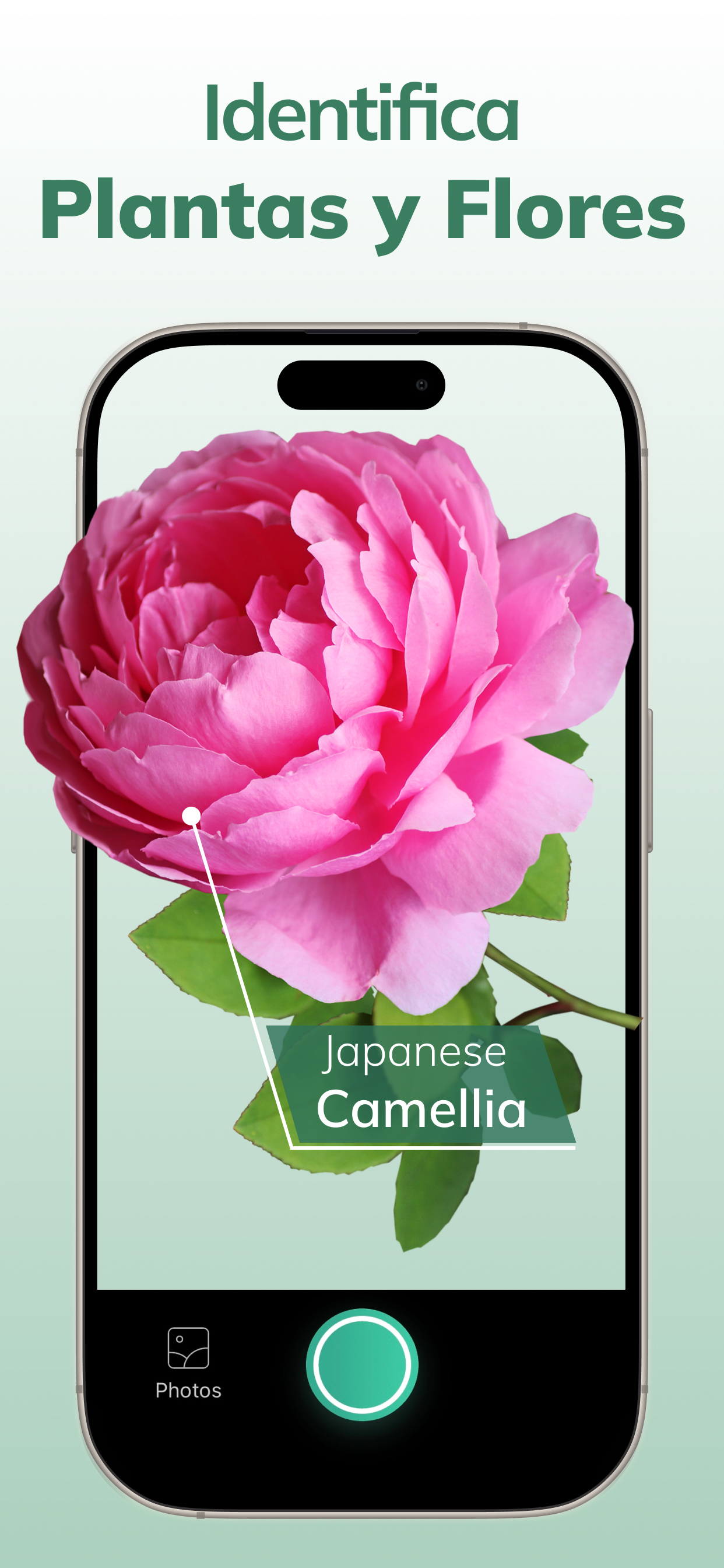 Identify Plants Identification