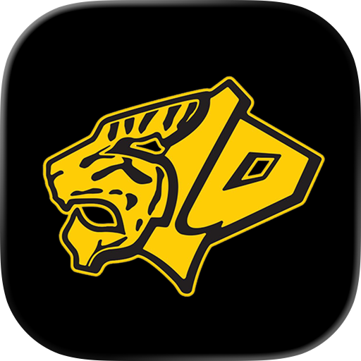 Tiger Teams