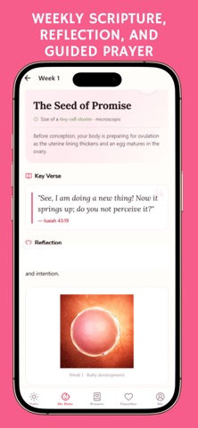 Pregnancy Devotional Daily Screenshot 5 of 7