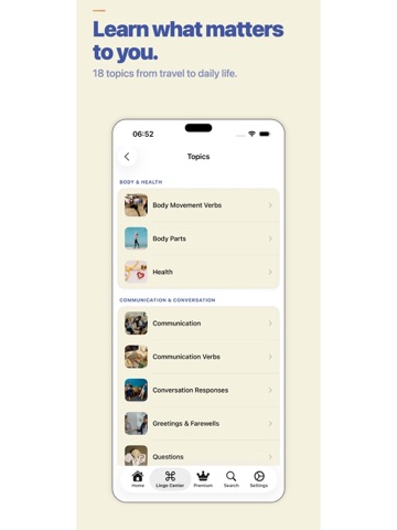 Learn English with LingoSwipe iPad screenshot