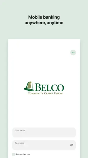 Belco Money Manager screenshot 1