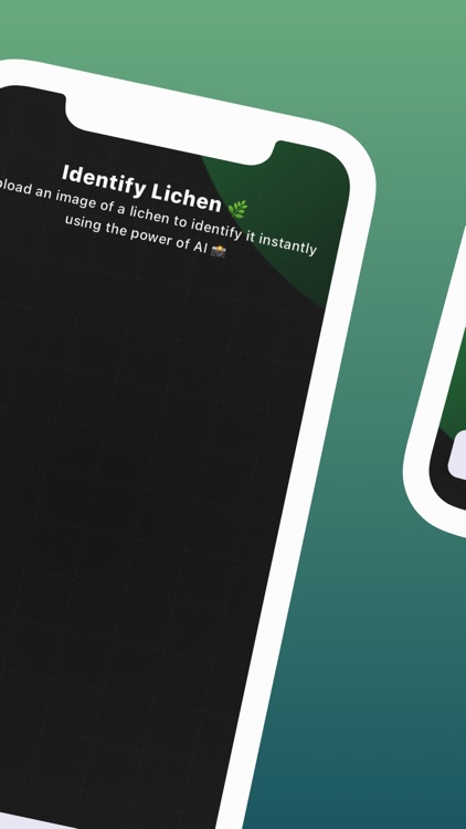 Lichen Identifier: Scan Lichen