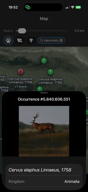 GBIF Nearby screenshot 2