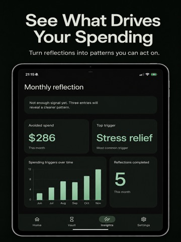 CalmSpend - Money Journal iPad screenshot