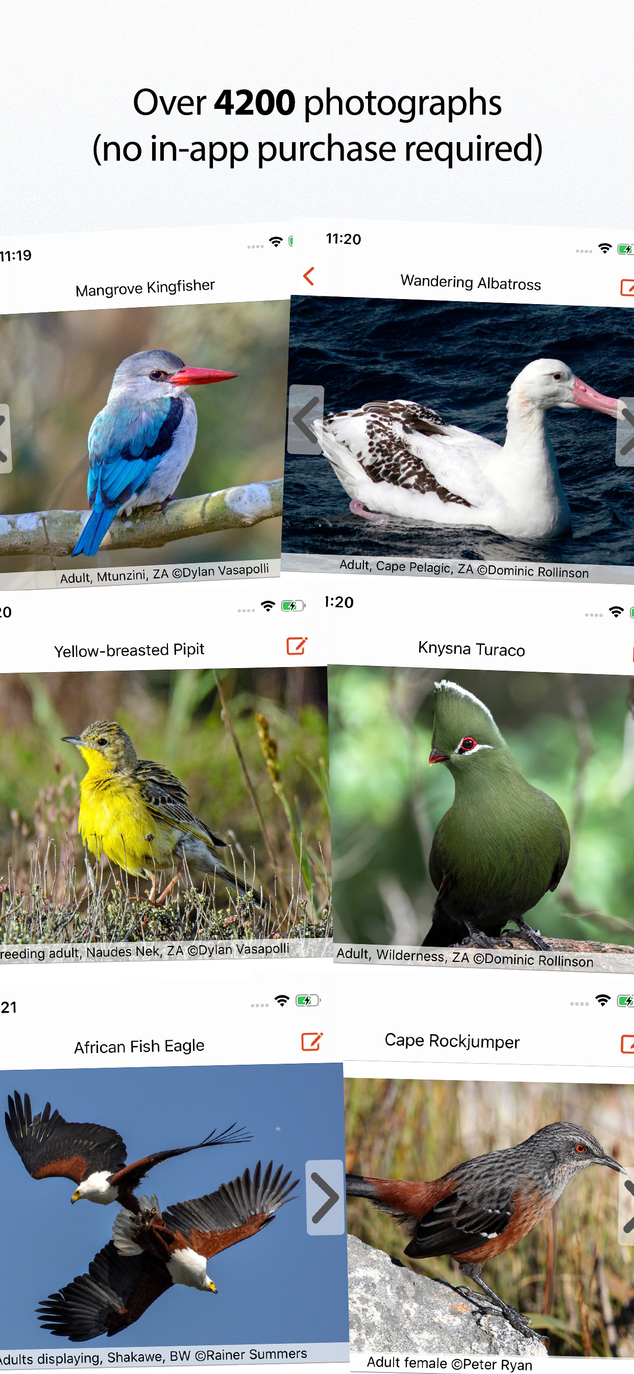 Sasol eBirds Southern Africa
