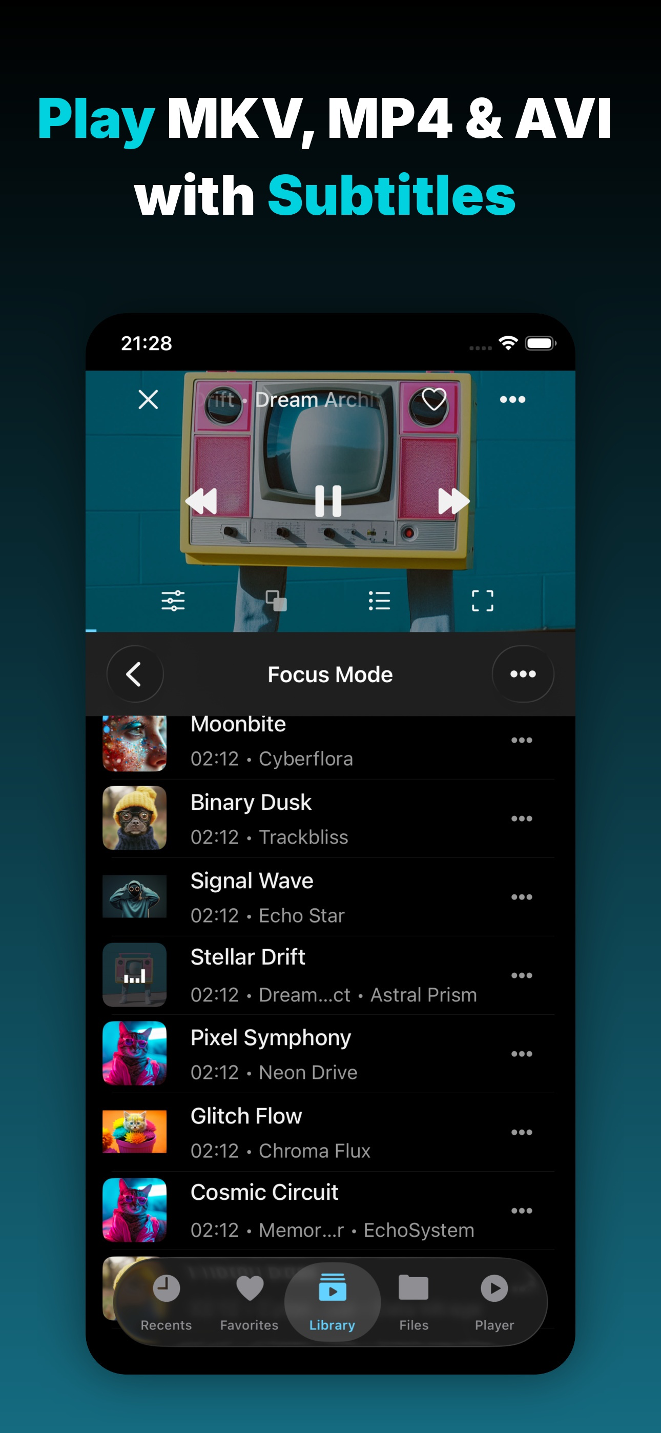 Evervideo: Play Any Video File