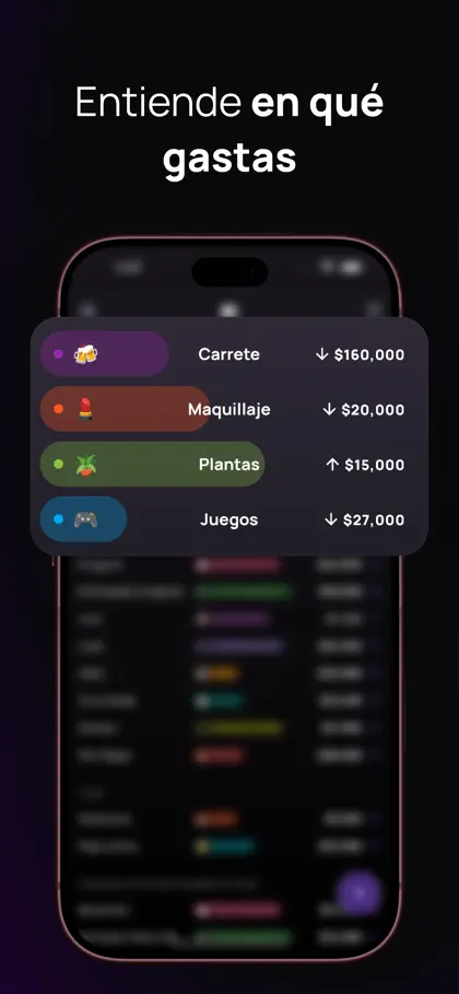 Kane: Control de gastos screenshot 4 of 6