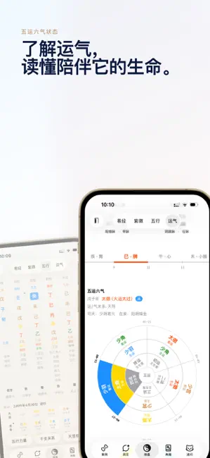 狗运极佳 - 五运六气紫微斗数四柱八字面相起名择吉日AI分析 iPhone screenshot 2