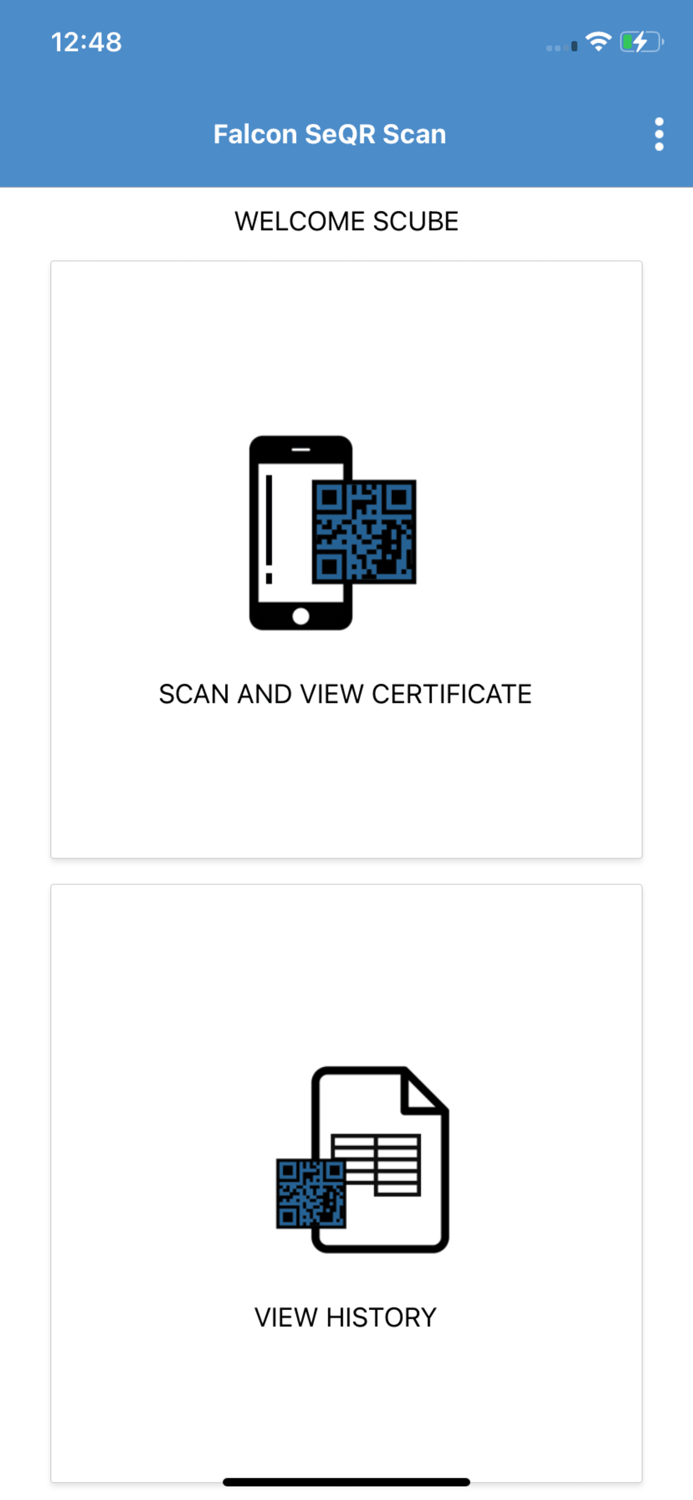 Falcon SeQR Scan