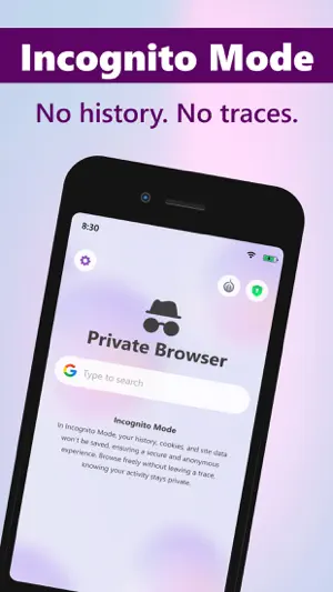 TOR Browser, Prosec Onion VPN screenshot 3