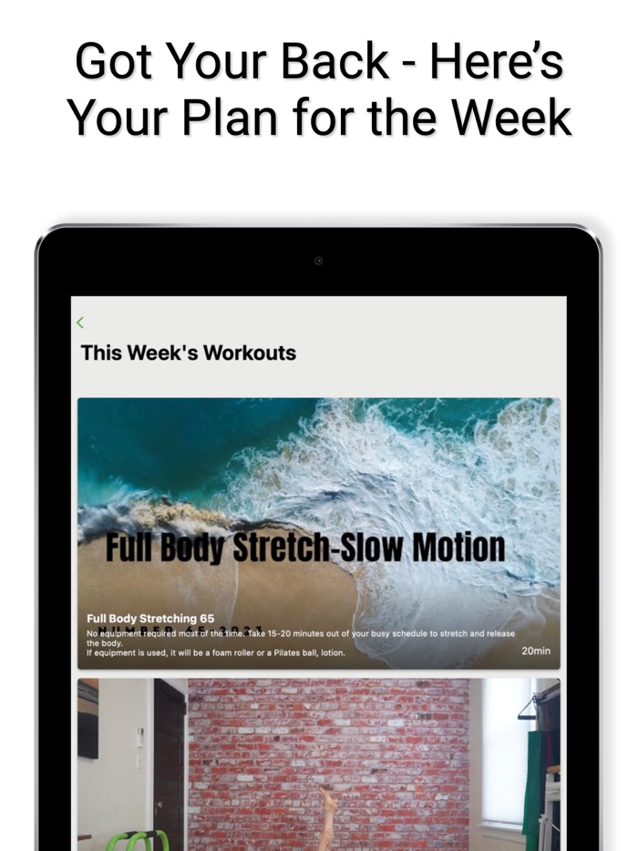 BowenWork Fitness-Healthy Lion