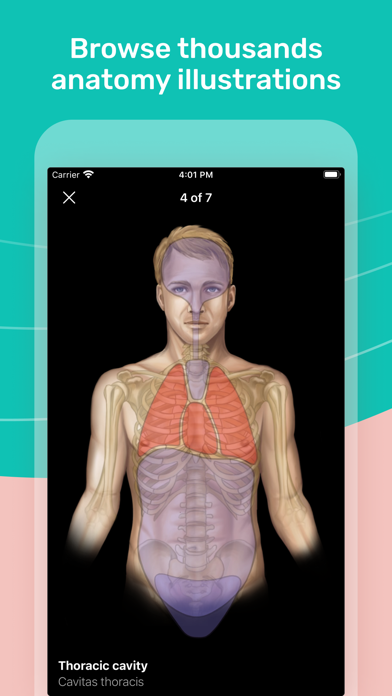 Easy Anatomy 3D Screenshot