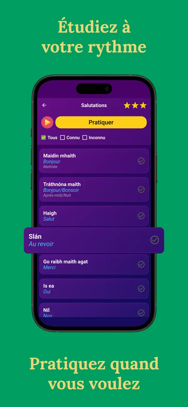 Screenshot #3 pour BNR: Apprendre l'irlandais