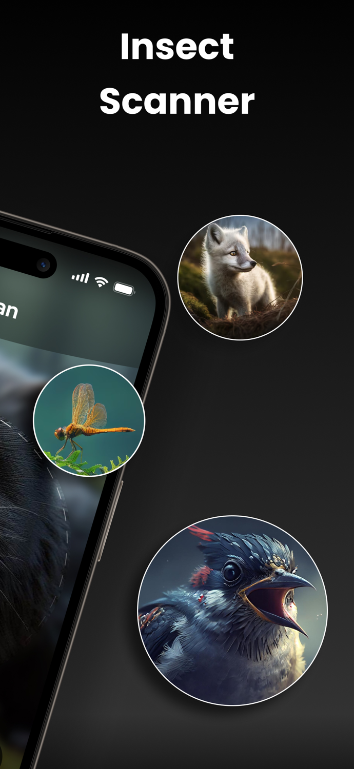 AI Bug Identifier・Insect Bugs