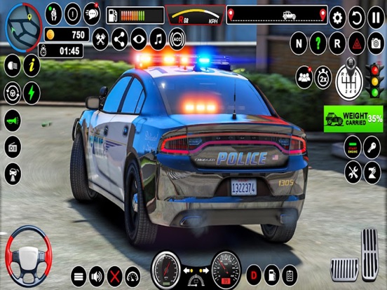 Highway Police Car Chase