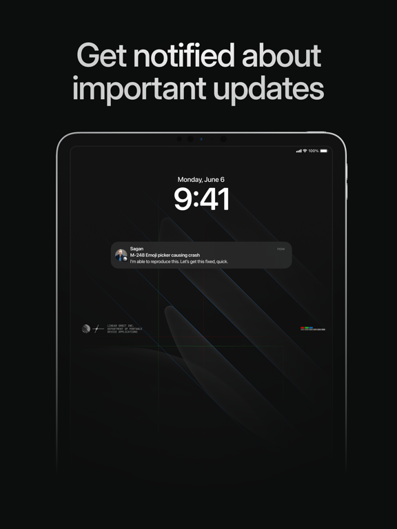 Linear Mobile iPad screenshot 4 - Business app