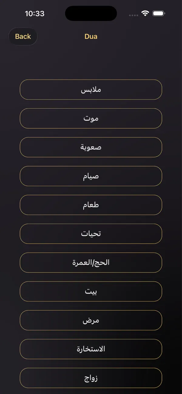 Screenshot #3 pour Azaan Pro