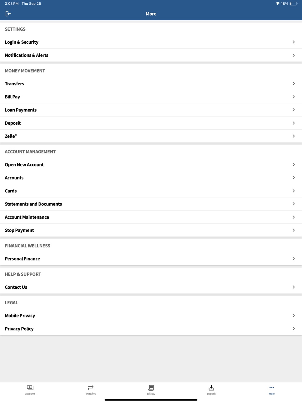 iPad screenshot