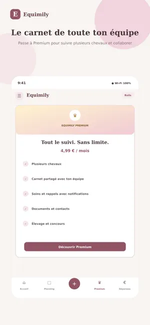 Equimily screenshot 4