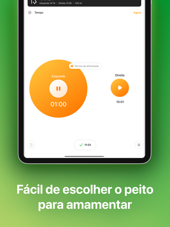 Meu Bebê－Diário de Amamentação iPad screenshot 4