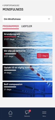 Team Danmark screenshot