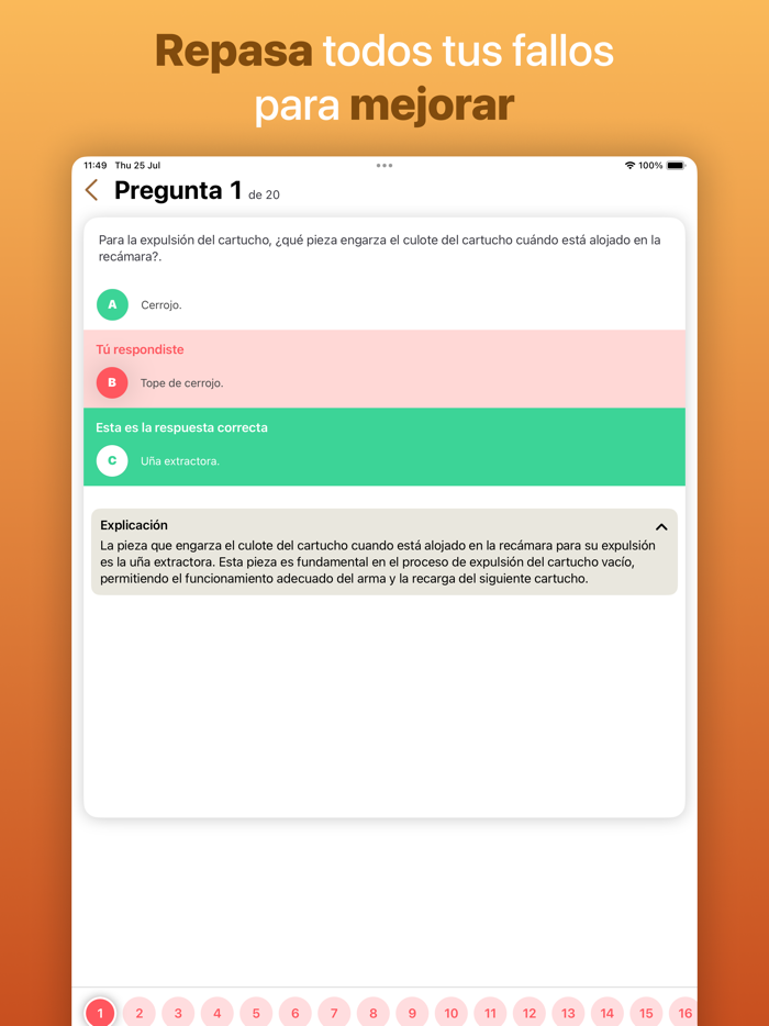 Licencia de Armas España