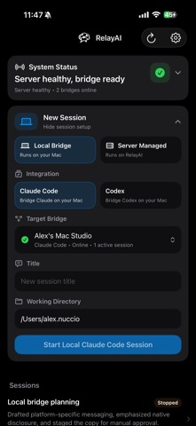 RelayAI Bridge screenshot