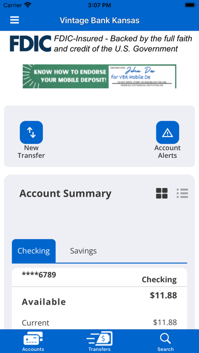 Vintage Bank KS Screenshot
