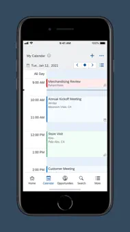 SAP Cloud for Customer iphone bilder 2