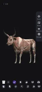 CoAnatomyCattle screenshot #2 for iPhone