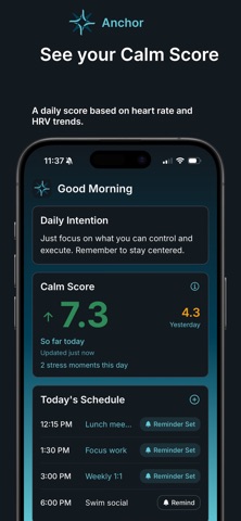 Anchor – Stress Awareness iPhone screenshot