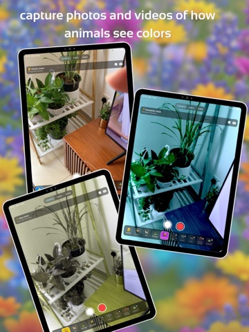 Animal Eye Sight iPad screenshot
