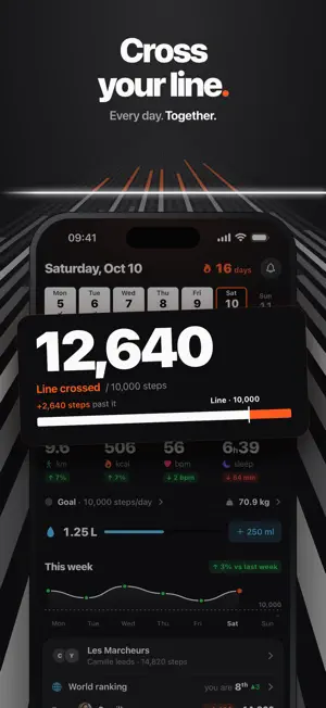 StepsLink screenshot 1
