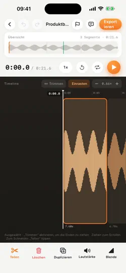 Screenshot von Audio-Transkriptionseditor auf dem iPhone 2