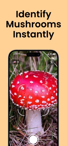 Mushroom Identifier - FungisID screenshot