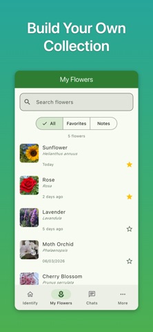 Flower Identifier: Flower Ace iPhone screenshot