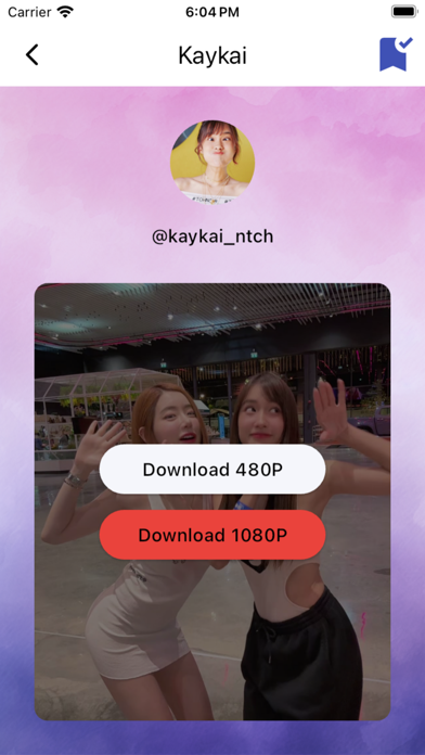 SaveTok - Save TikTok Videos Screenshot