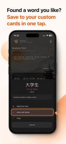 HamHao: Learn Chinese with HSK Screenshot 6 of 9