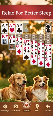 Bliss Solitaire: Daily Cards Screenshot 4 of 5