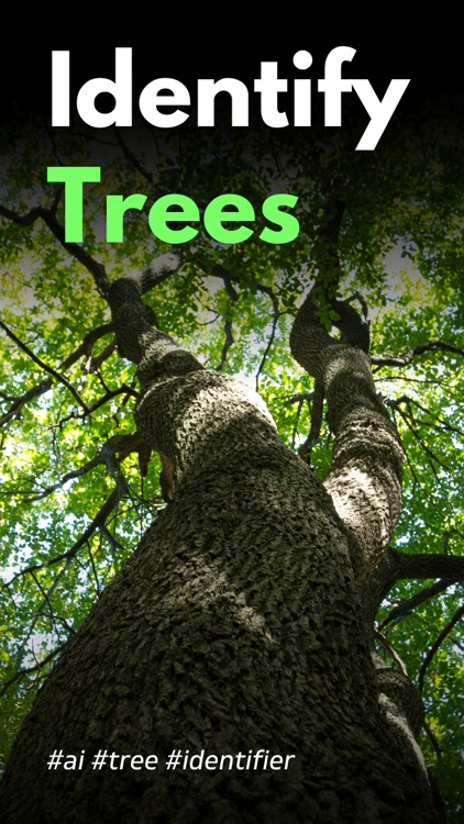 Tree Identifier AI: TreeIQ