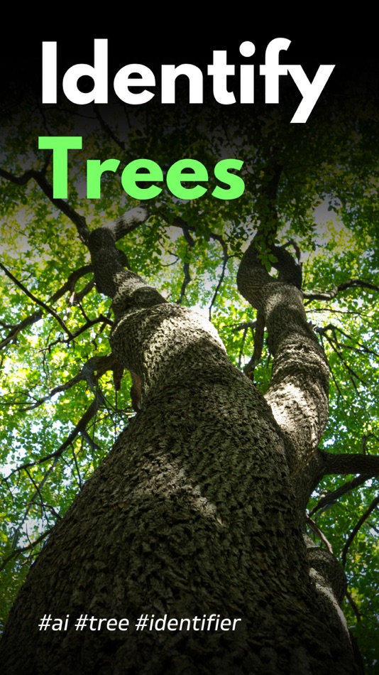 #1. Tree Identifier AI: TreeIQ (iOS) Przez: Arda Sen