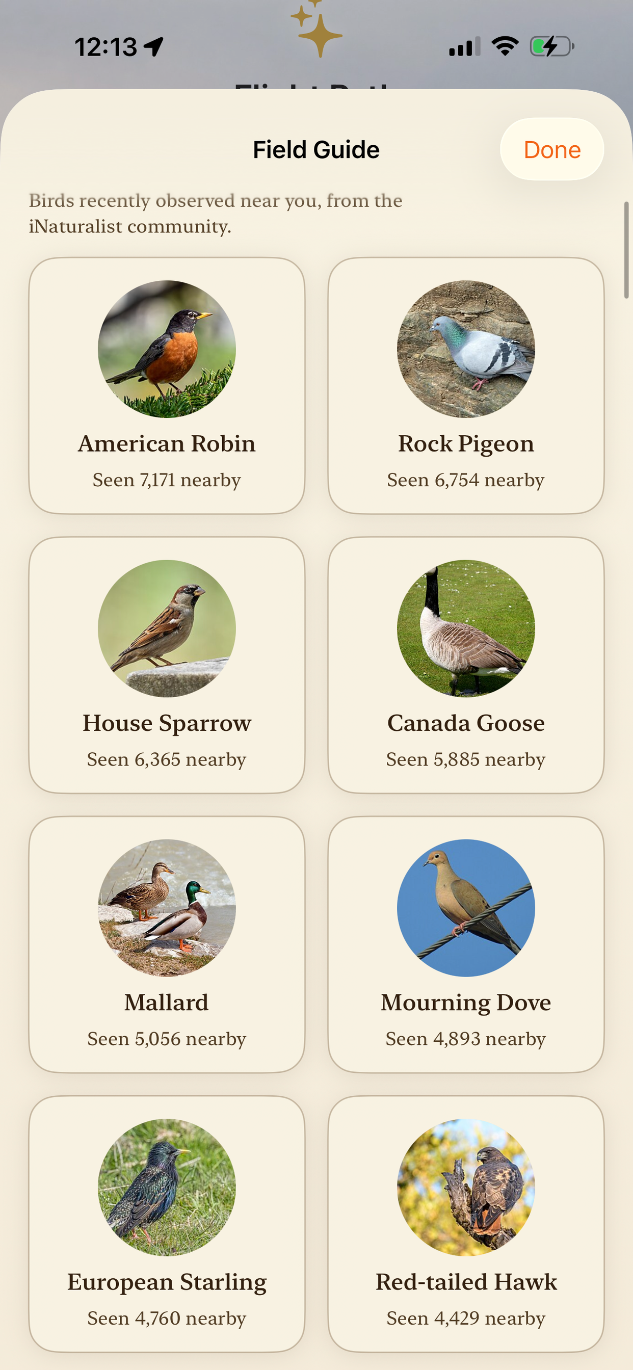 Fincherr screenshot 8