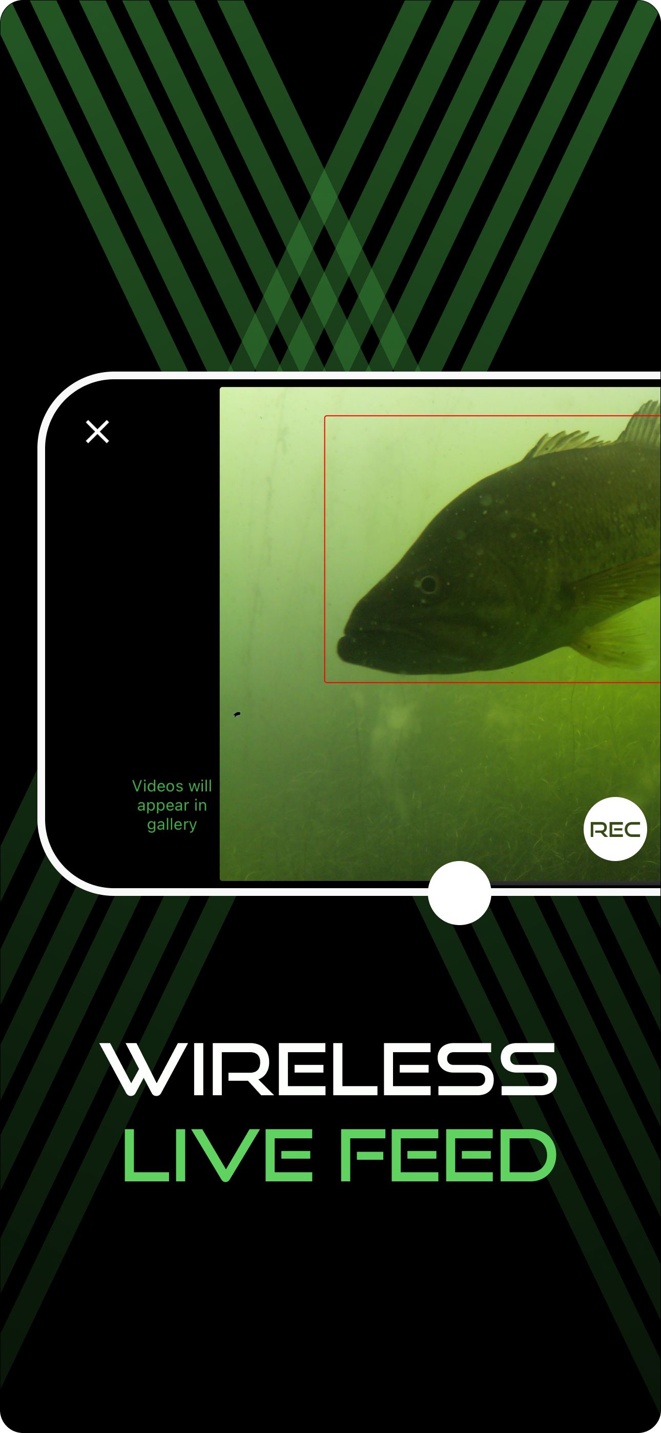 Seeweed screenshot 4