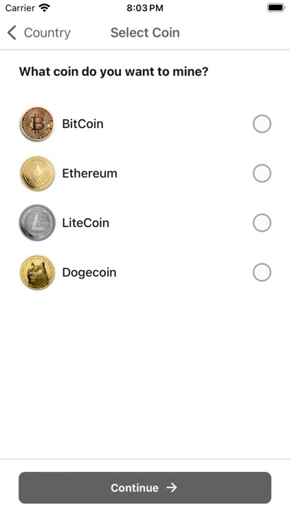 Leather Bitcoin Miner