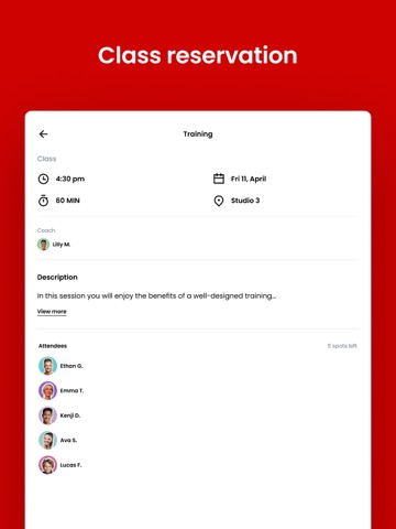 FINAO X iPad screenshot
