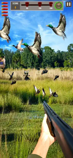 DUCK HUNTER CLASSIC screenshot 1