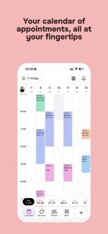 Feelday Pro Screenshot 1 of 4