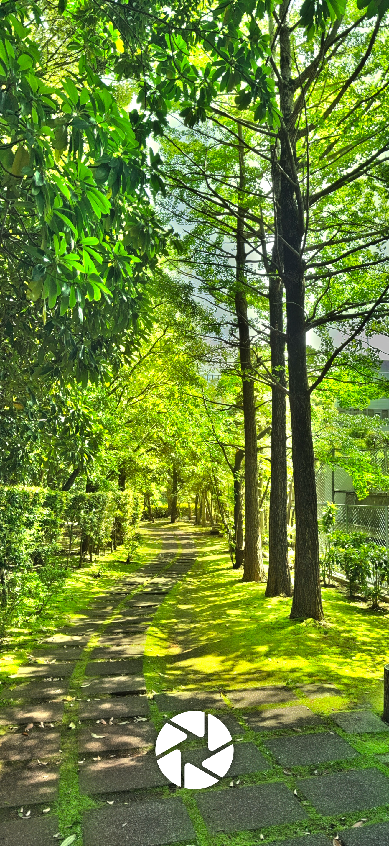 HDR Effect Camera