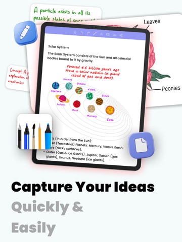 Meeting Notes & Work Planner